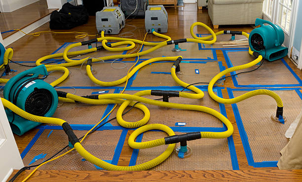 Professional Sewage Cleanup technician working in Somers, WI